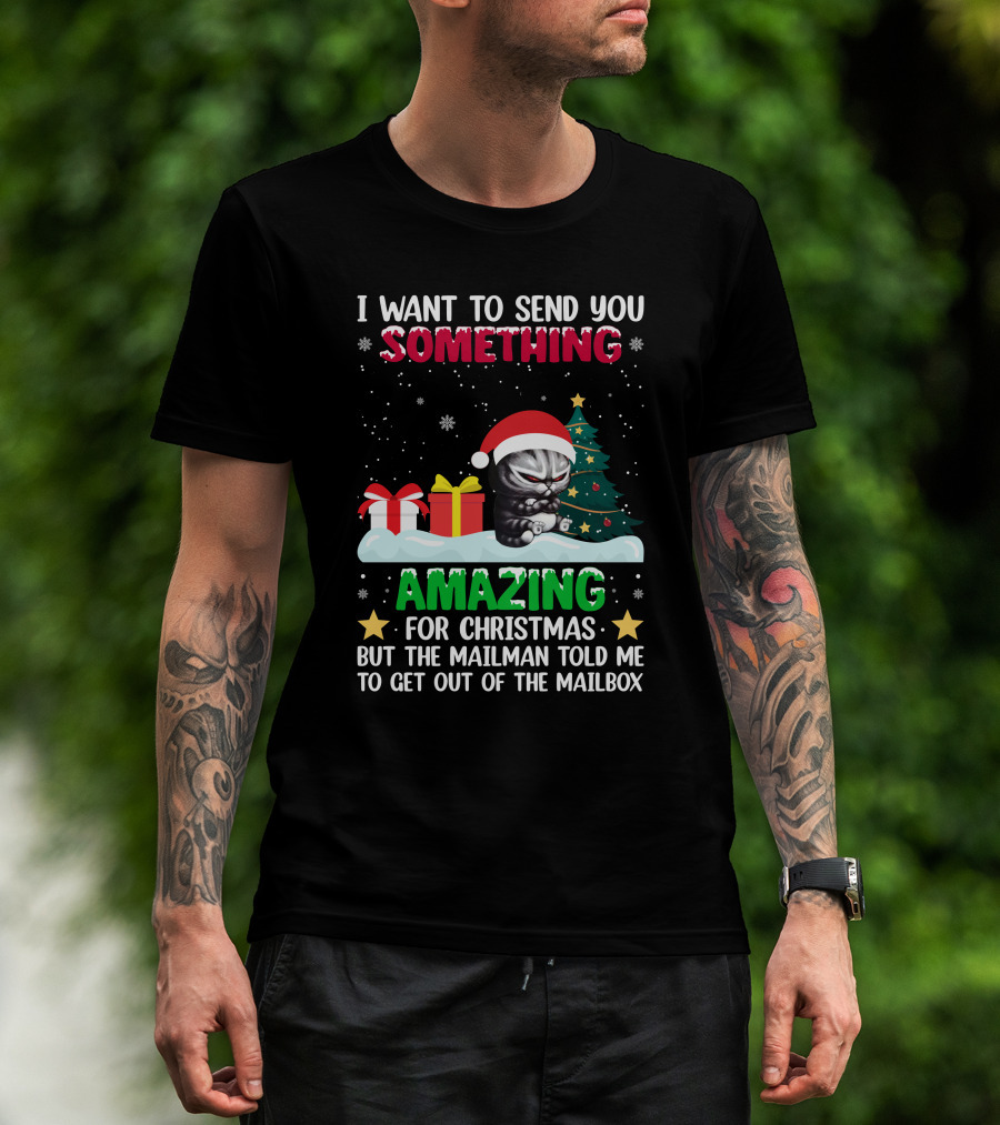 I Want To Send You Something Amazing For Christmas But The Mailman Told Me To Get Out Of The Mailbox Cat T-Shirt