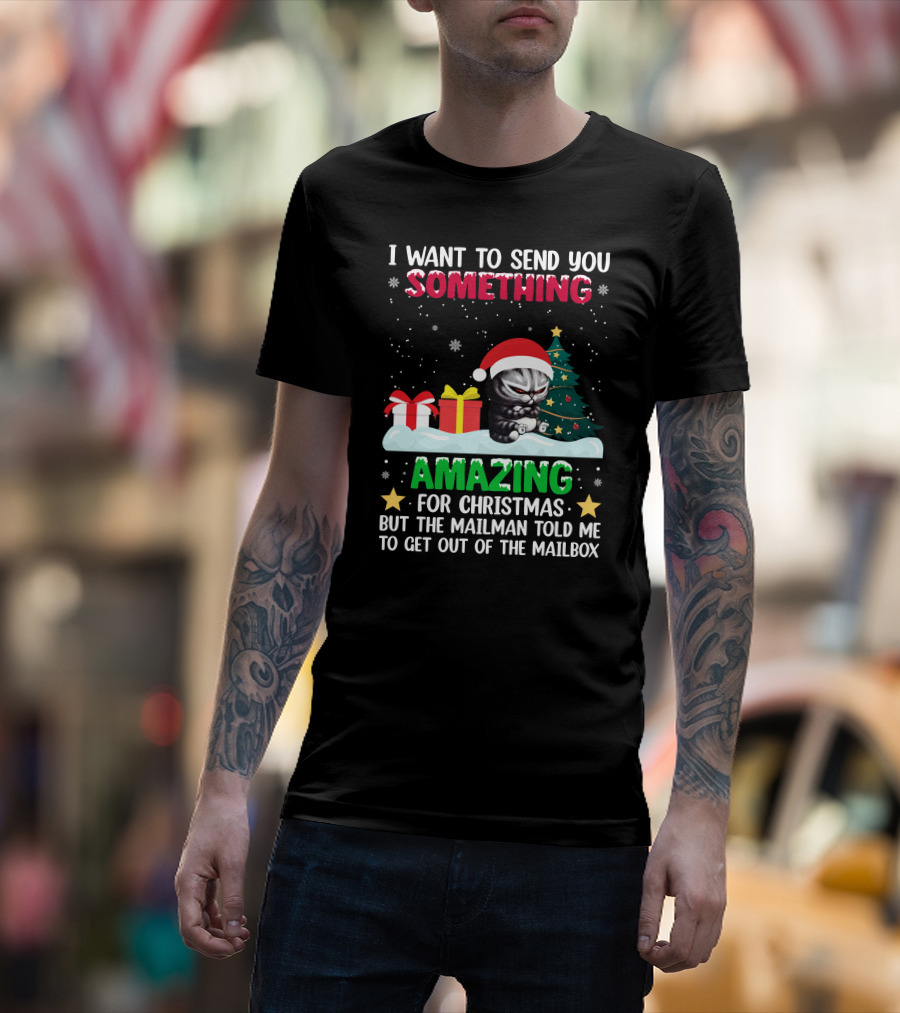 I Want To Send You Something Amazing For Christmas But The Mailman Told Me To Get Out Of The Mailbox Cat T-Shirt