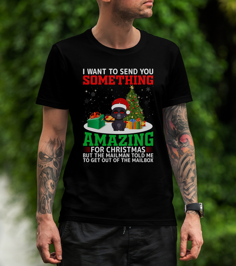 I Want To Send You Something Amazing For Christmas But The Mailman Told Me To Get Out Of The Mailbox T-Shirt