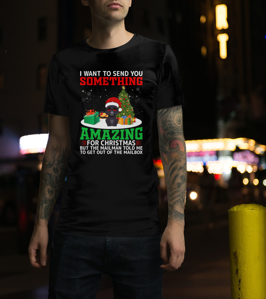 I Want To Send You Something Amazing For Christmas But The Mailman Told Me To Get Out Of The Mailbox T-Shirt