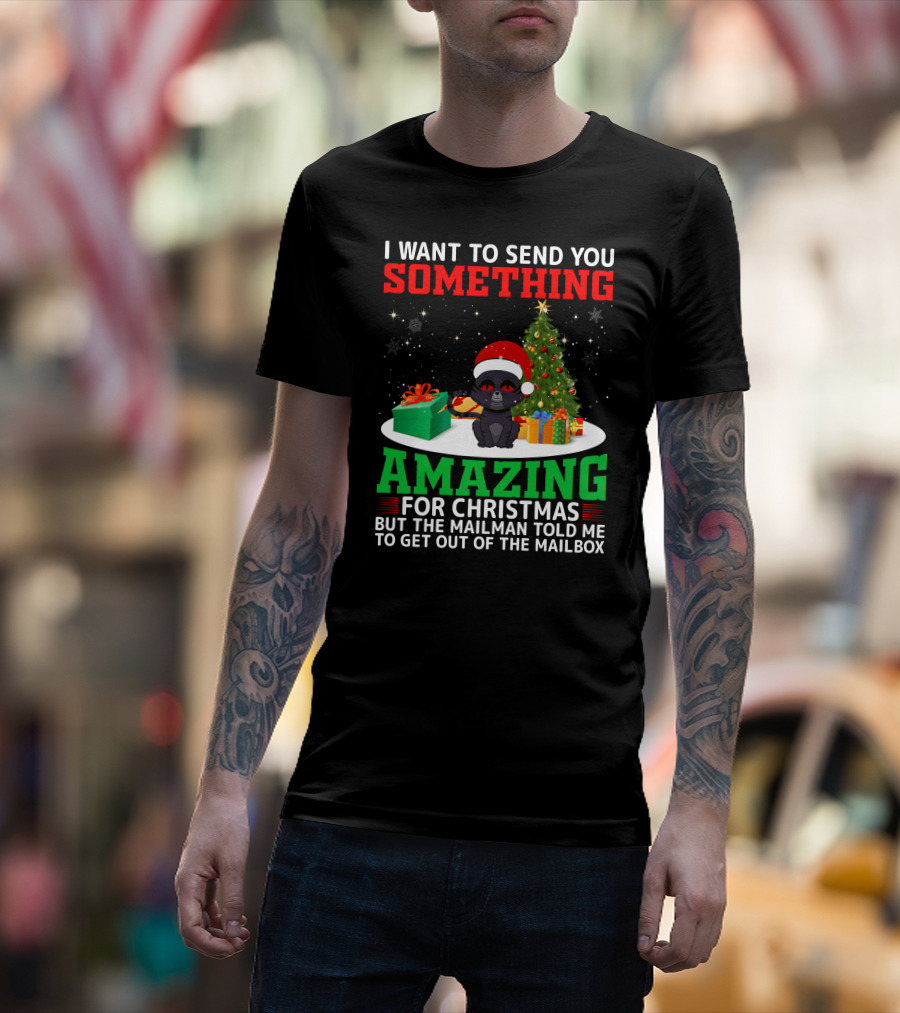 I Want To Send You Something Amazing For Christmas But The Mailman Told Me To Get Out Of The Mailbox T-Shirt