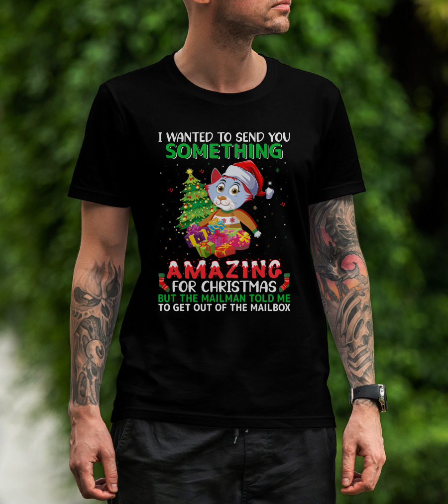 I Wanted To Send You Something Amazing For Christmas But The Mailman Told Me To Get Out Of The Mailbox T-Shirt