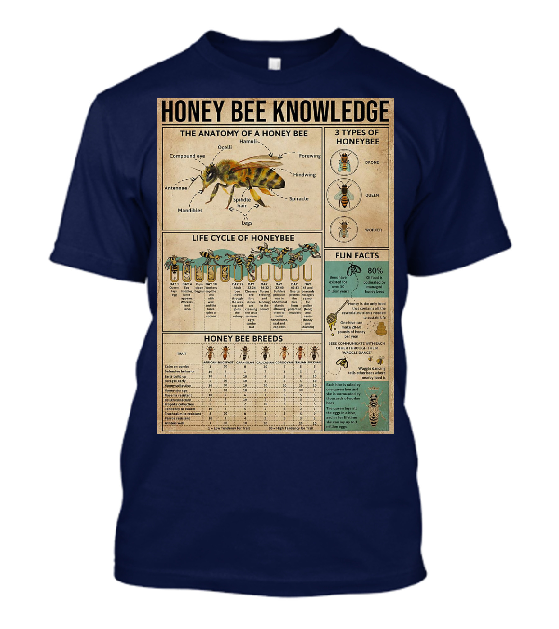 Honey Bee Knowledge Anatomy Types Lifecycle Breeds Fun Facts T-Shirt