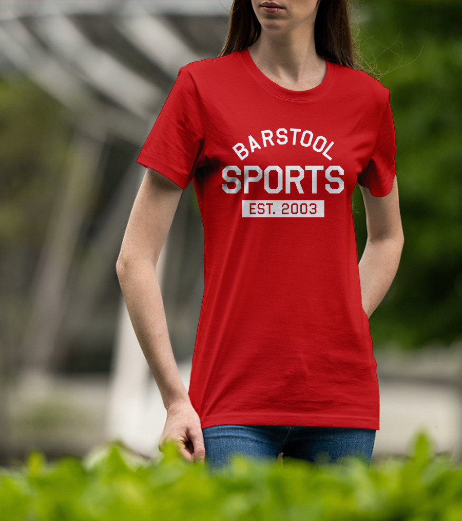 Established 2003 Retro Vintage Look T-Shirt