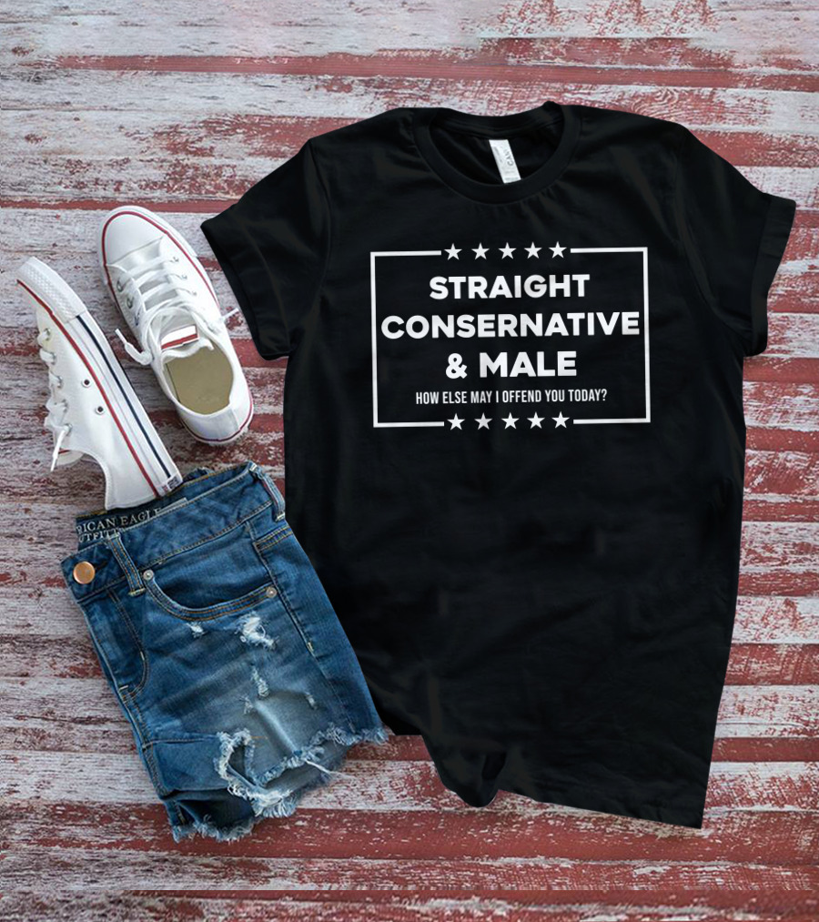 STRAIGHT CONSERVATIVE And MALE HOW ELSE MAY I OFFEND YOU TODAY? T-Shirt