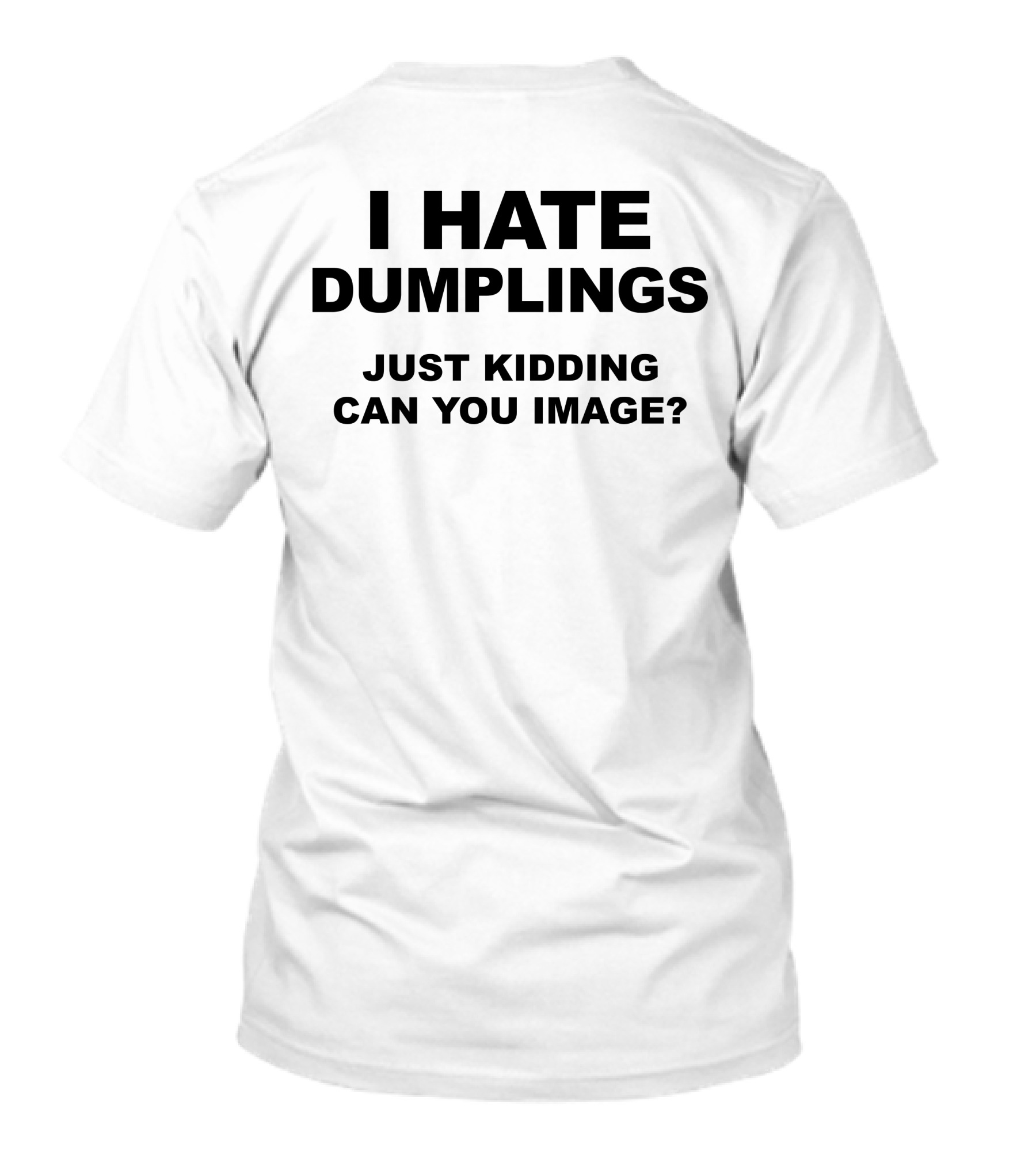 I Hate Dumplings Just Kidding Can You Image? T-Shirt