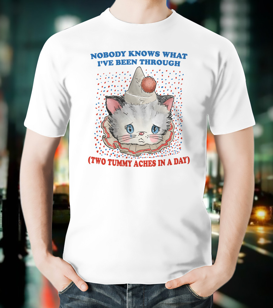 NOBODY KNOWS WHAT I'VE BEEN THROUGH (TWO TUMMY ACHES IN A DAY) CUTE PARTY HAT CAT T-Shirt