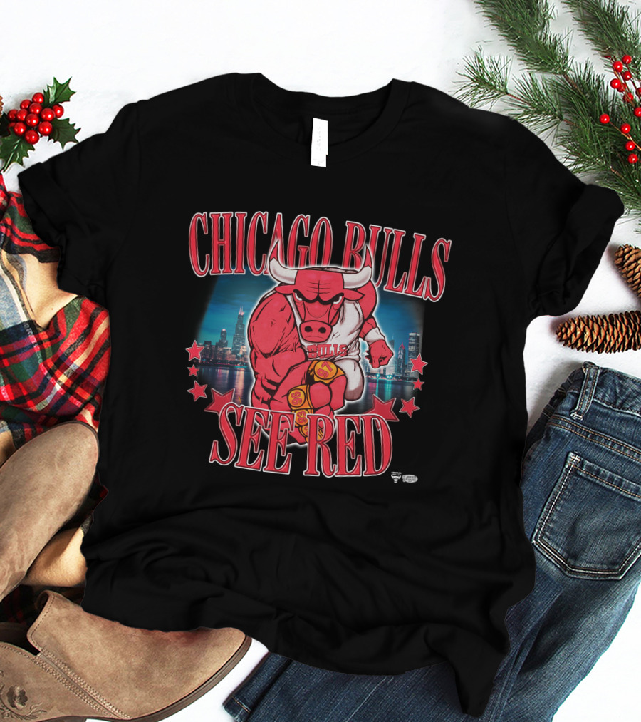 Chicago Bulls See Red Skyline 2XtremeBounce T-Shirt