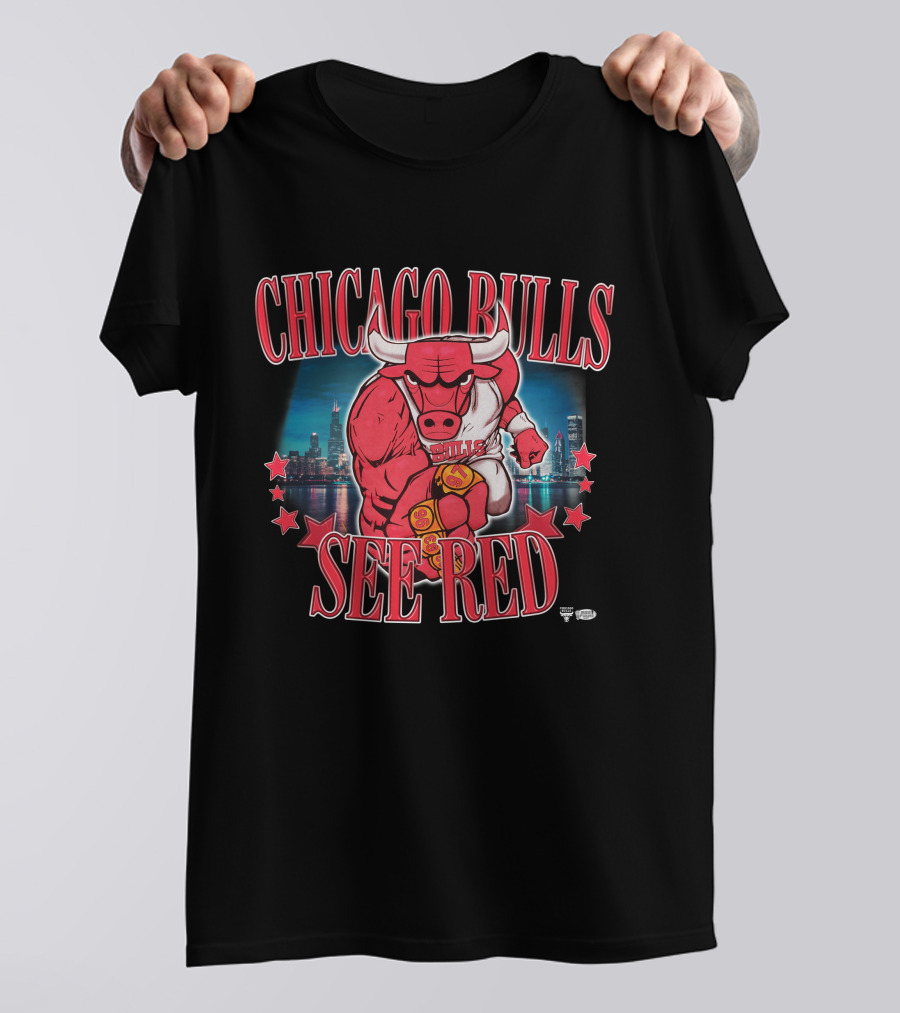 Chicago Bulls See Red Skyline 2XtremeBounce T-Shirt