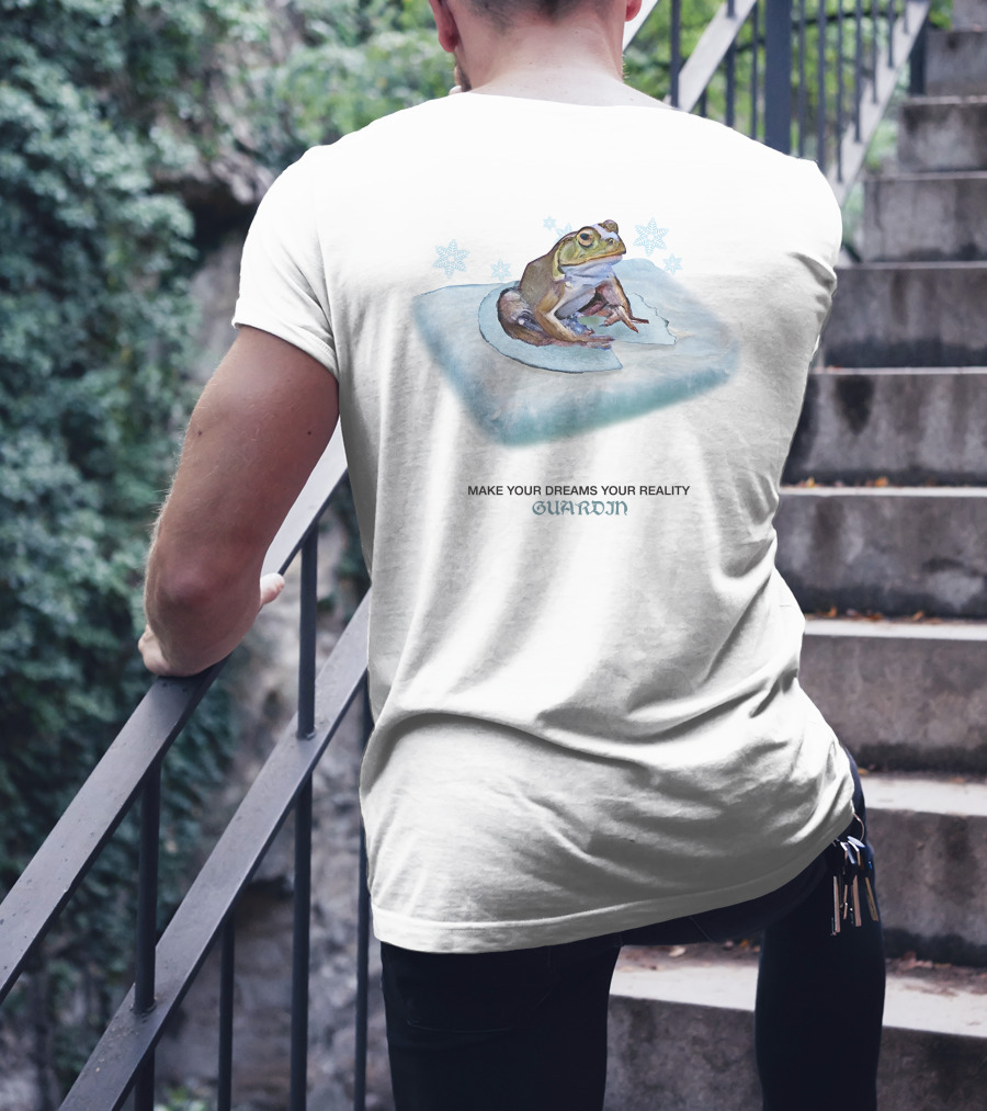 Frog Make Your Dreams Your Reality Guardin Snowflakes Pillow T-Shirt