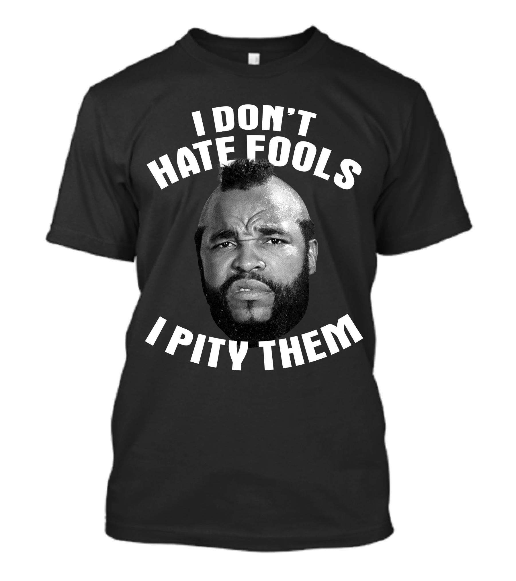 I Don't Hate Fools I Pity Them T-Shirt