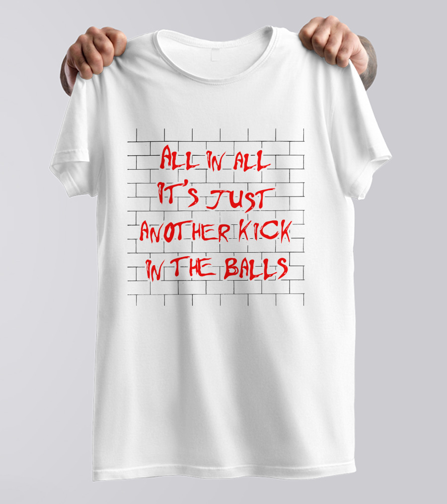 All In All It's Just Another Kick In The Balls The Good Brick Wall T-Shirt