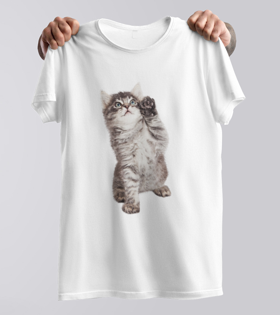Cat Cute Playful Kitten Paw Lift T-Shirt