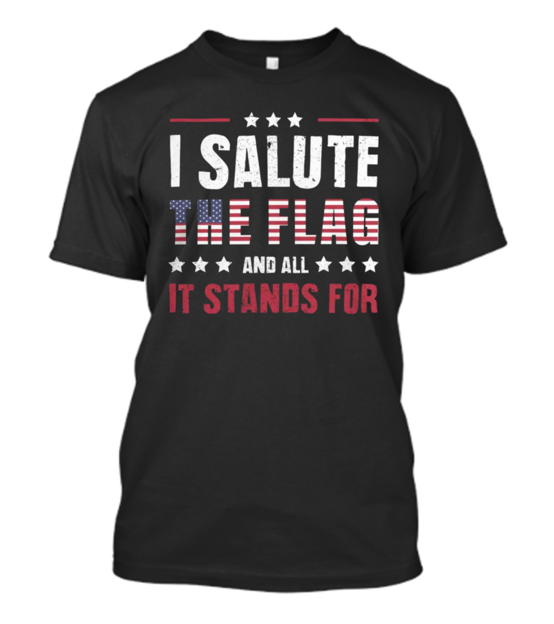 I Salute The Flag And All It Stands For USA T-Shirt