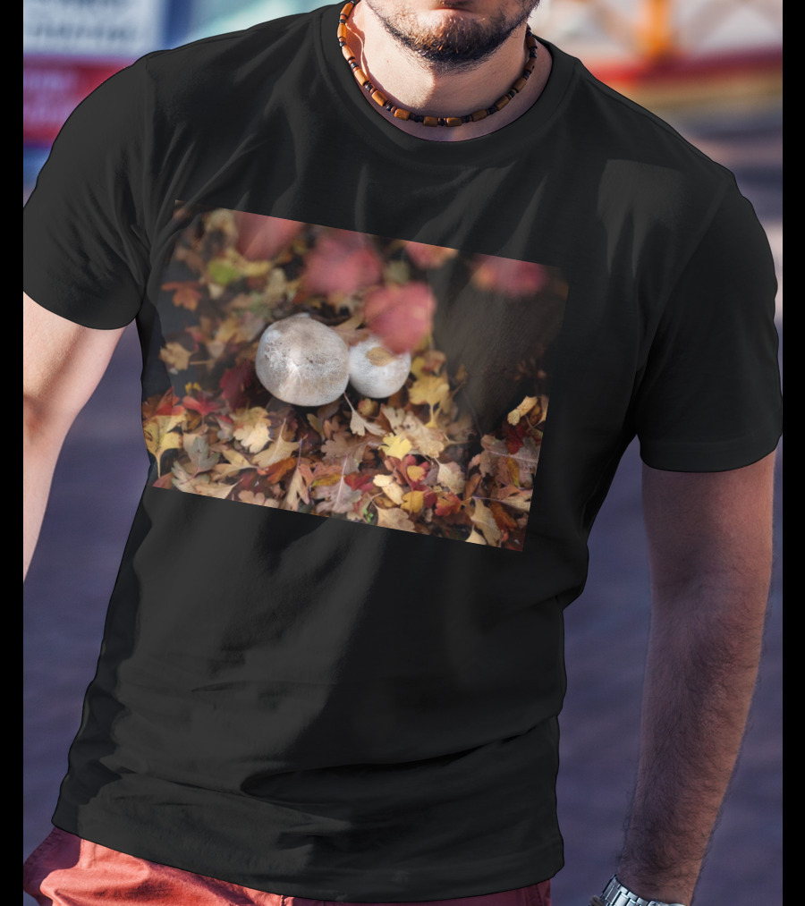 Autumn's Reward Mushrooms Amidst Fall Leaves T-Shirt