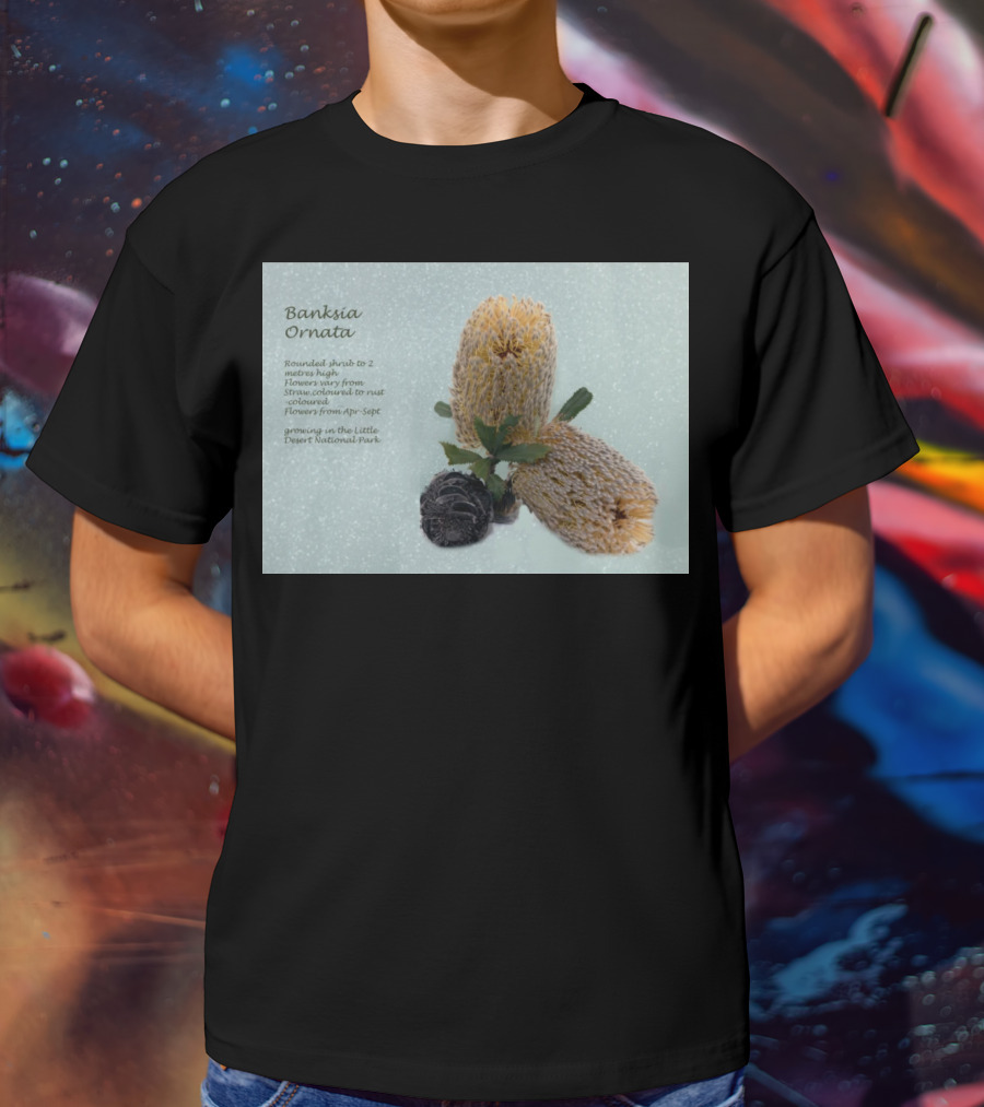 Banksia Ornata Rounded Shrubs Little Desert National Park Flowers T-Shirt