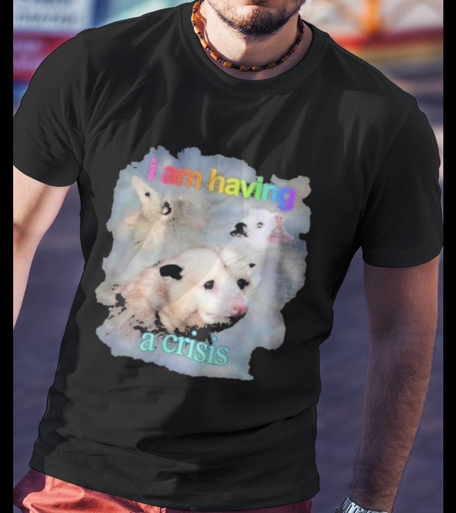 I Am Having A Crisis Possum T-Shirt