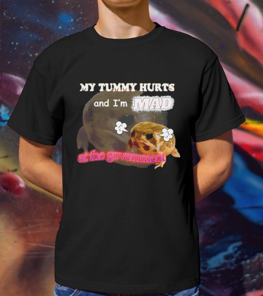 My Tummy Hurts And I'm MAD At The Government Frog Meme T-Shirt