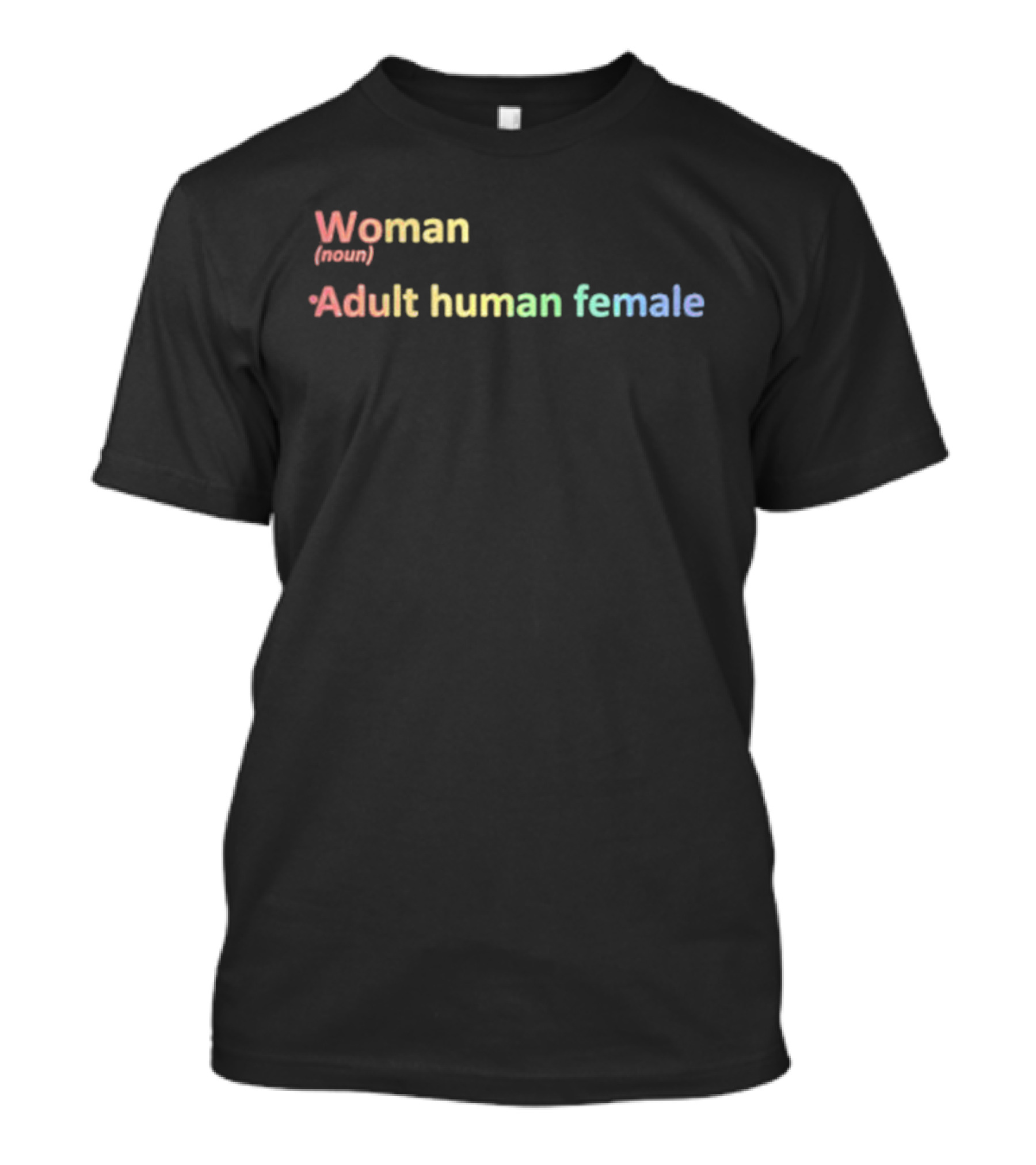 Woman Adult Human Female Noun Pride Rainbow Colors T-Shirt