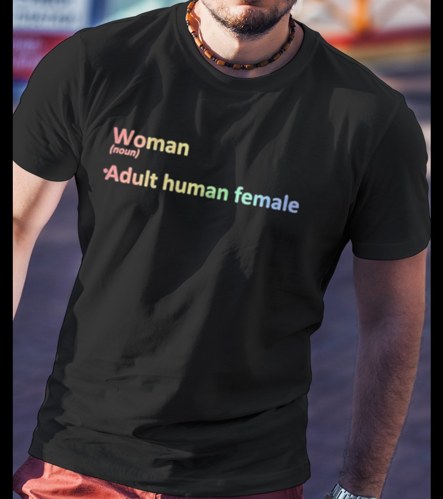 Woman Adult Human Female Noun Pride Rainbow Colors T-Shirt
