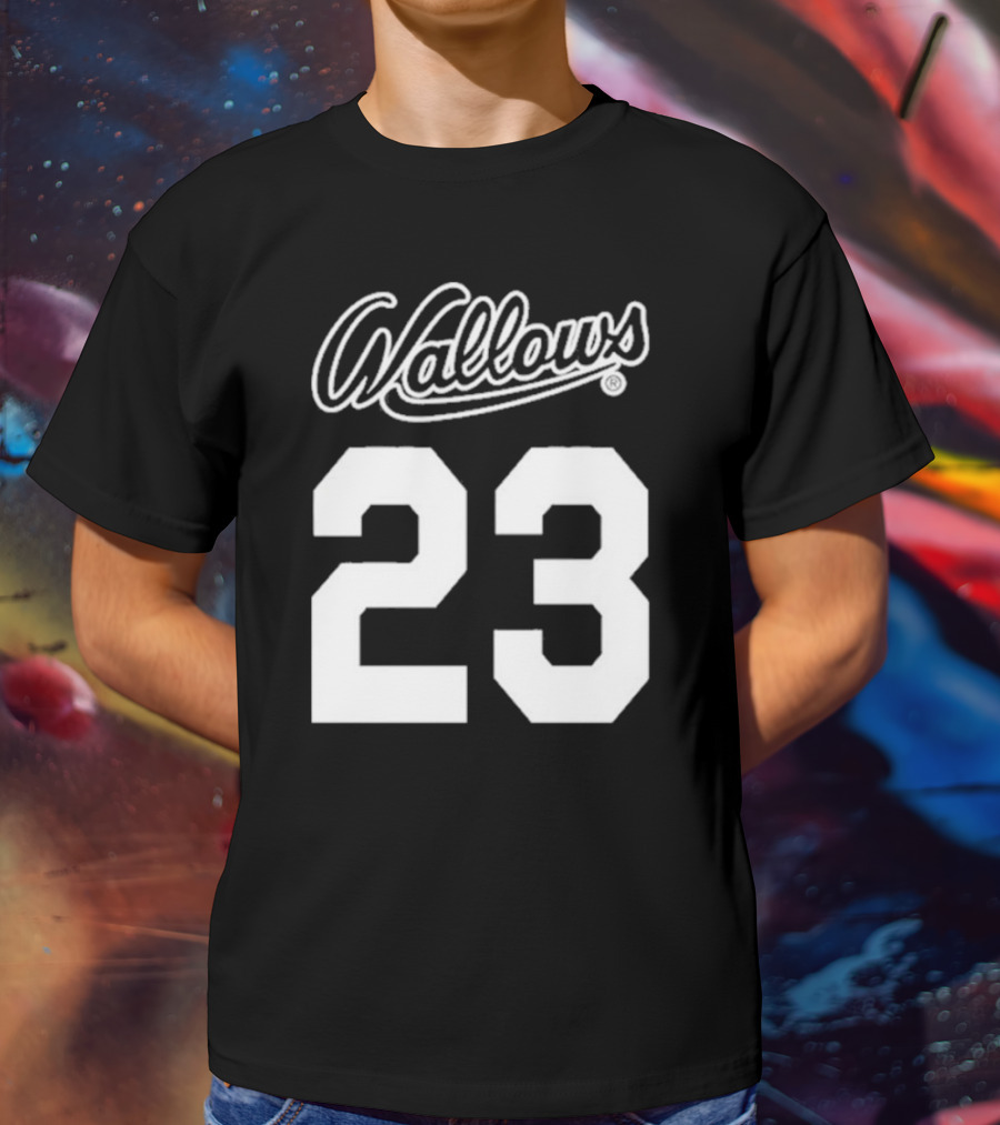 Wallows Script 23 Football T-Shirt