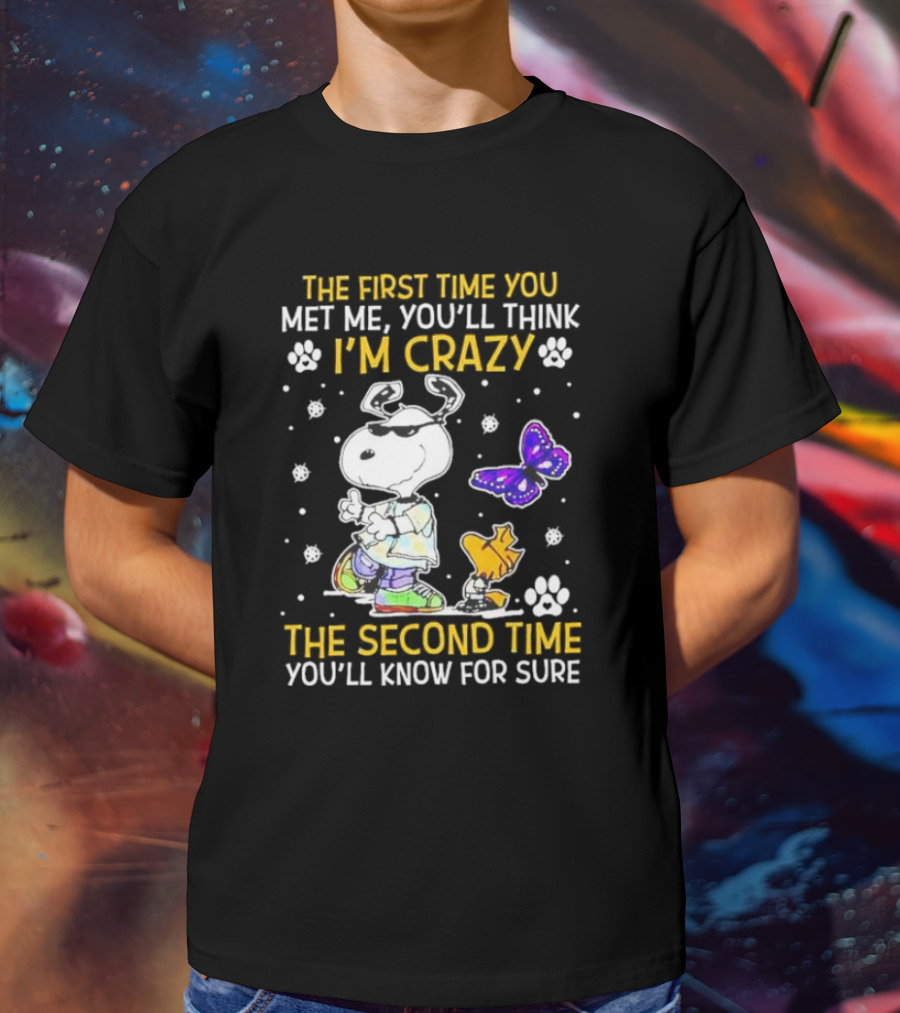 Snoopy And Woodstock The First Time You Met Me You'll Think I'm Crazy The Second Time You'll Know For Sure T-Shirt