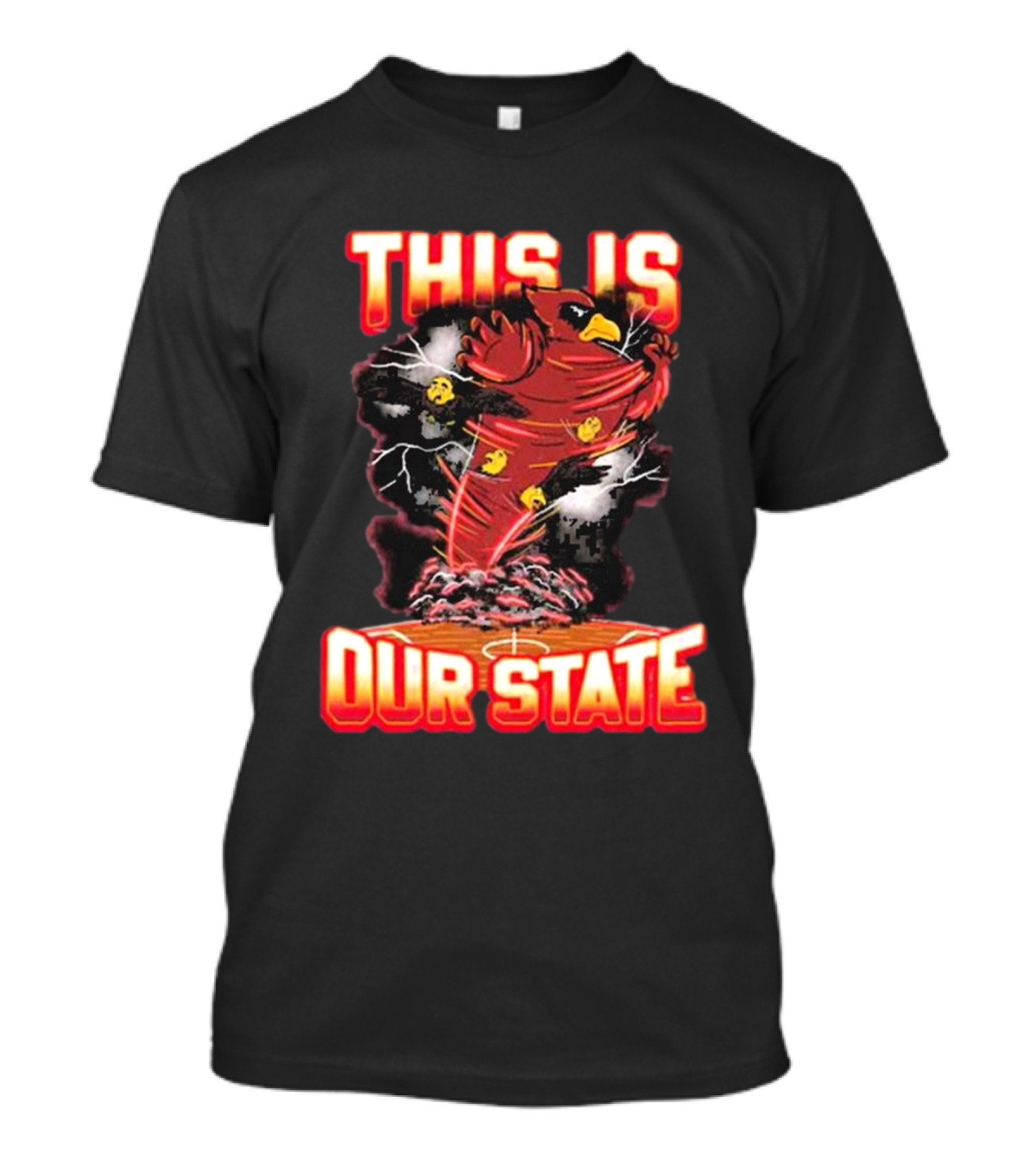 THIS IS OUR STATE Arizona Cardinals Official NFL Team Gear T-Shirt