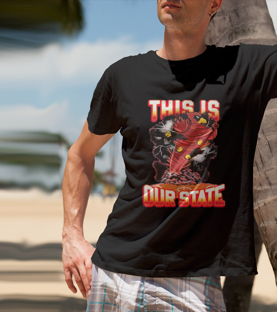 THIS IS OUR STATE Arizona Cardinals Official NFL Team Gear T-Shirt