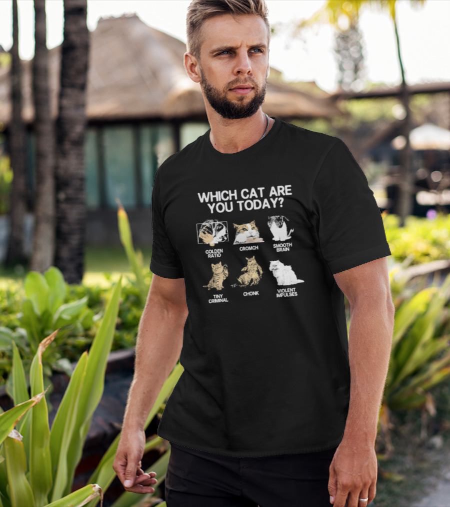 Which Cat Are You Today Golden Ratio Cromch Smooth Brain Tiny Criminal Chonk Violent Impulses T-Shirt