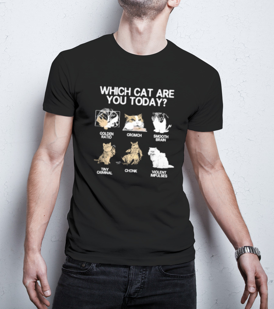 Which Cat Are You Today Golden Ratio Cromch Smooth Brain Tiny Criminal Chonk Violent Impulses T-Shirt