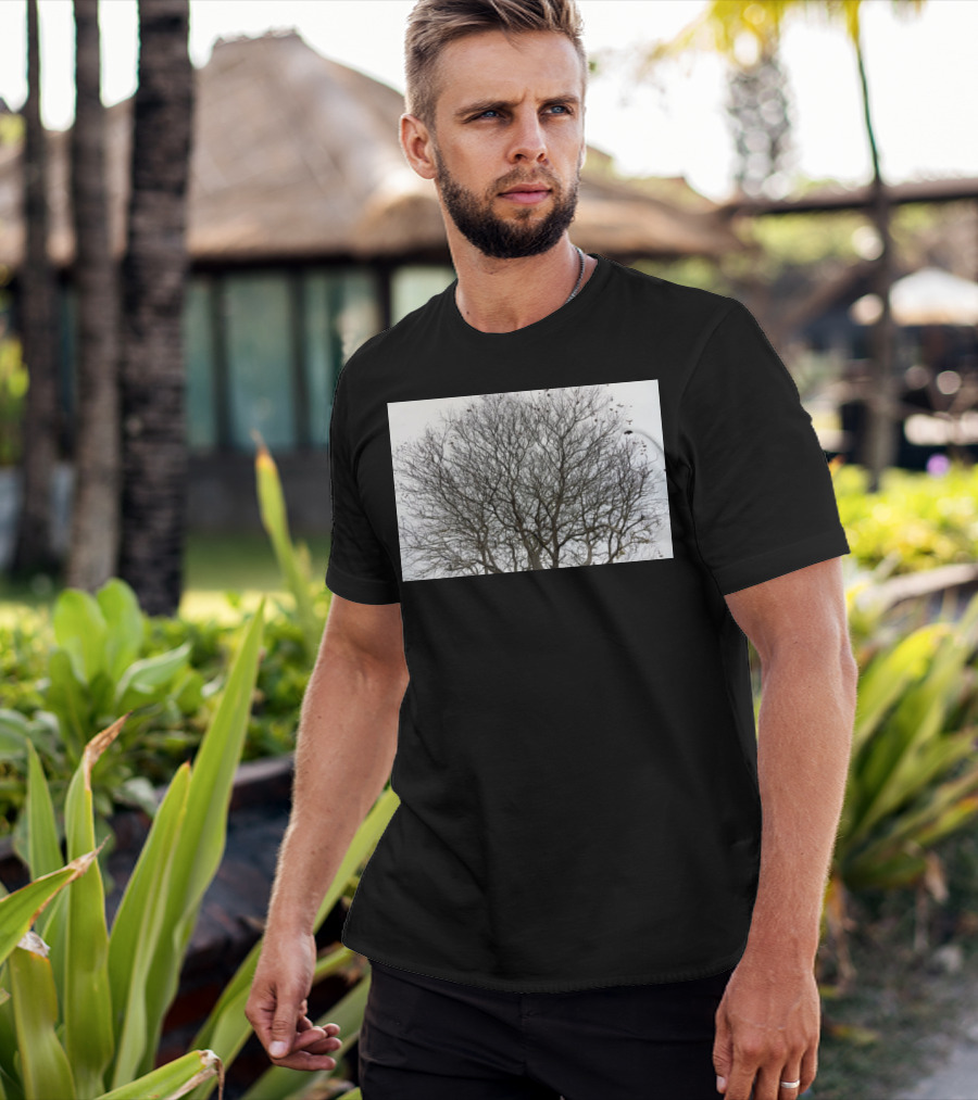 Winters Tracery Bare Tree Branches In Overcast Grey Sky T-Shirt