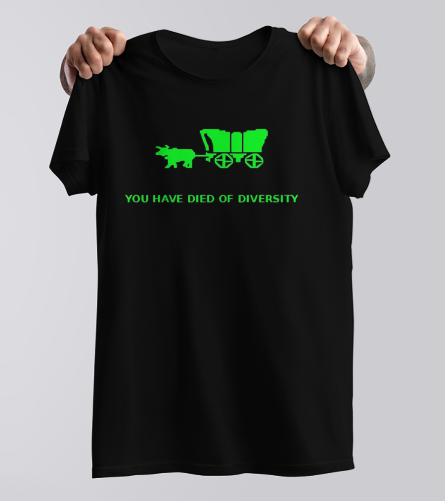 You Have Died Of Diversity Oregon Trail Pixel T-Shirt