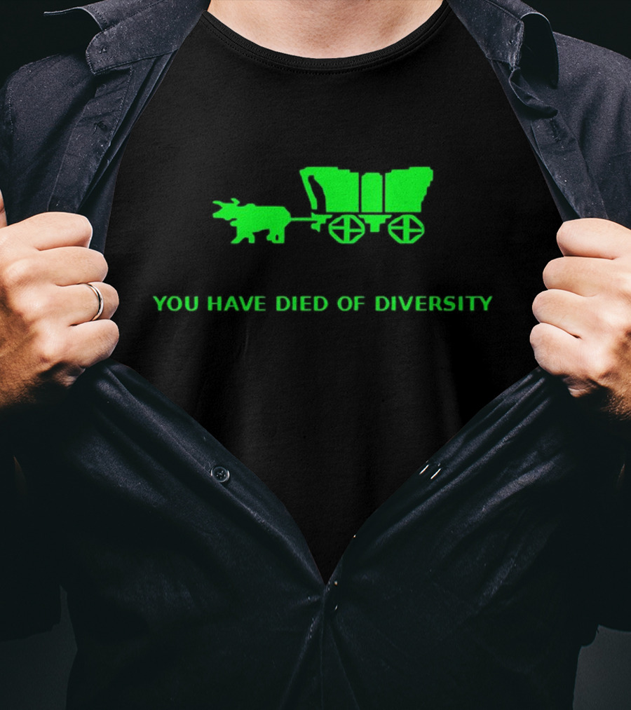 You Have Died Of Diversity Oregon Trail Pixel T-Shirt