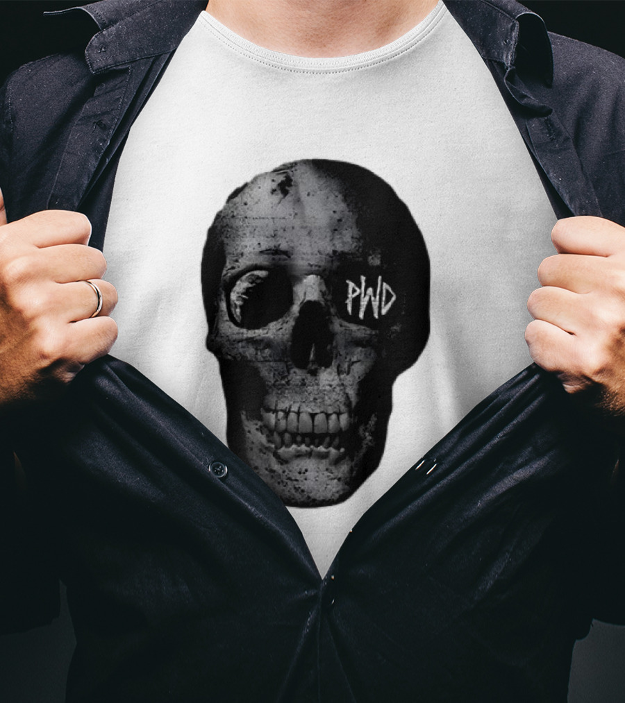PWD Parkway Drive Dark Days 2012 Atlas Skull Image T-Shirt
