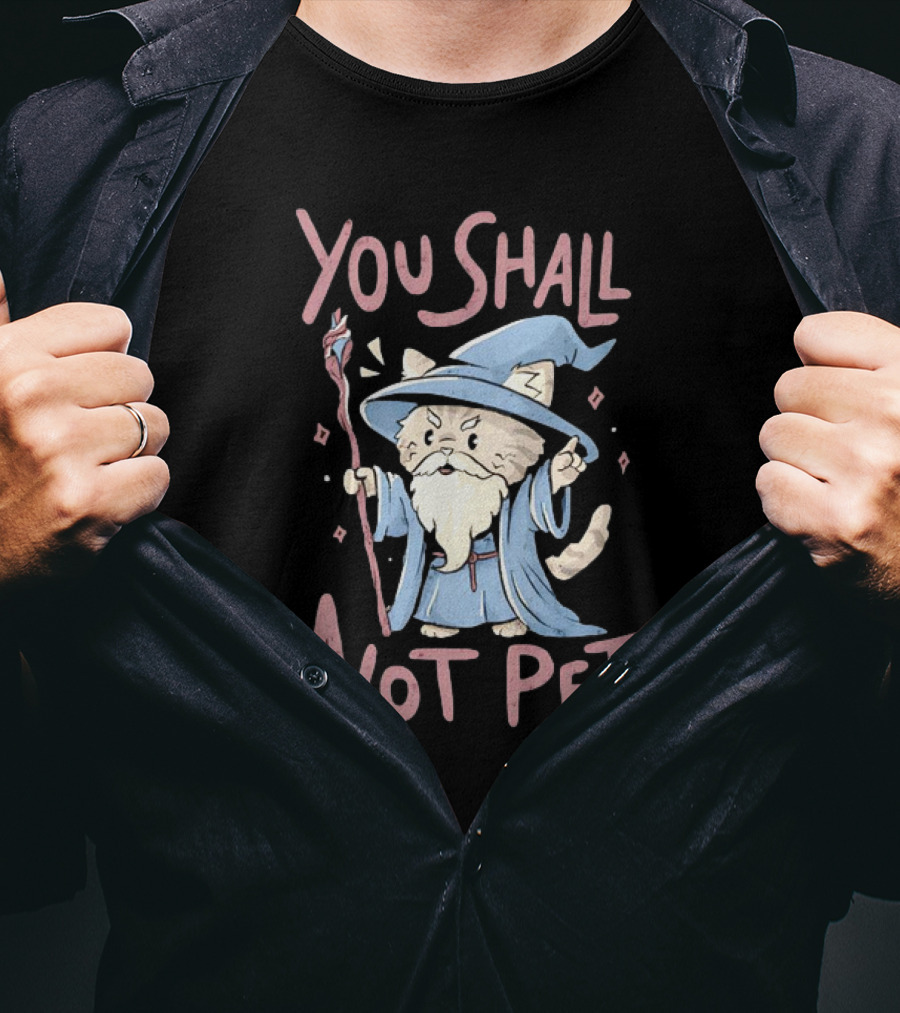 Wizard Cat You Shall Not Pet Gandalf Parody Fantasy Humor T-Shirt