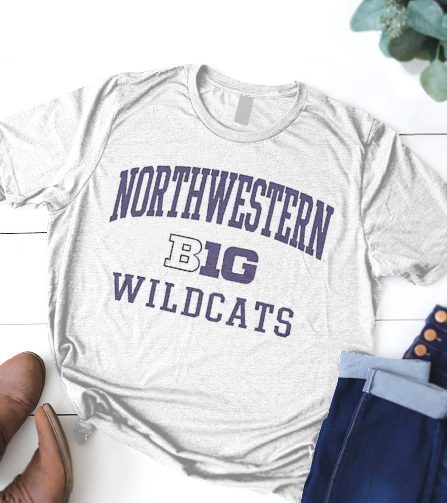 Northwestern Wildcats Big Ten T-Shirt