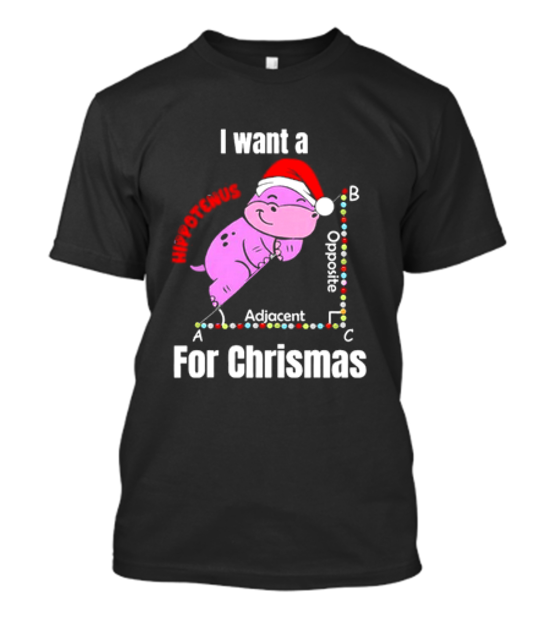 I Want A Hippotenuse ABC Adjacent Opposite For Christmas Cute Hippo T-Shirt