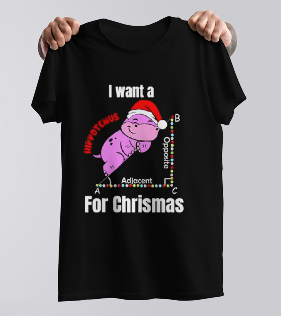 I Want A Hippotenuse ABC Adjacent Opposite For Christmas Cute Hippo T-Shirt