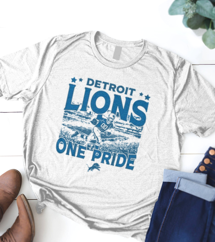 Detroit Lions One Pride Vintage Stadium Gameday T-Shirt