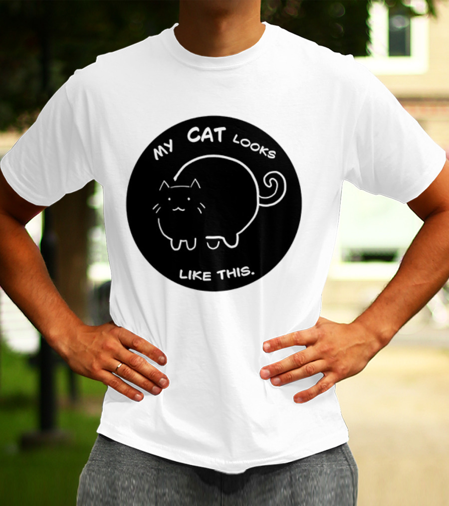 My Cat Looks Like This Adorable Cartoon Kitty Drawing T-Shirt