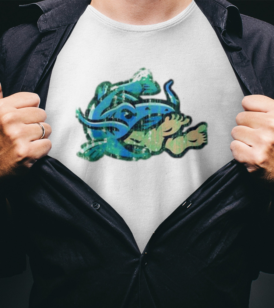 Noodlers Distressed Swimming Meme T-Shirt