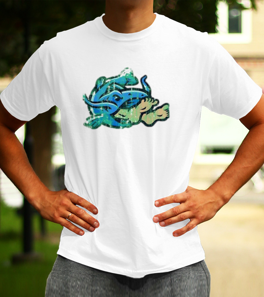 Noodlers Distressed Swimming Meme T-Shirt