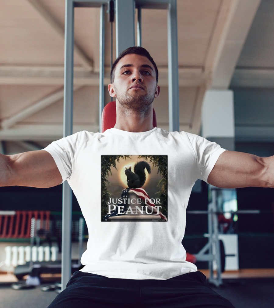 Justice For Peanut The Squirrel With American Flag Iconography T-Shirt