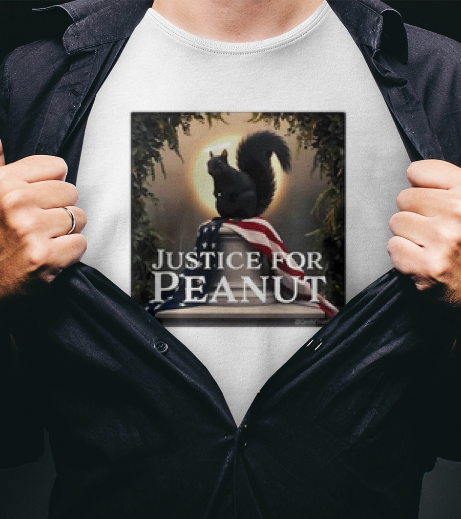 Justice For Peanut The Squirrel With American Flag Iconography T-Shirt