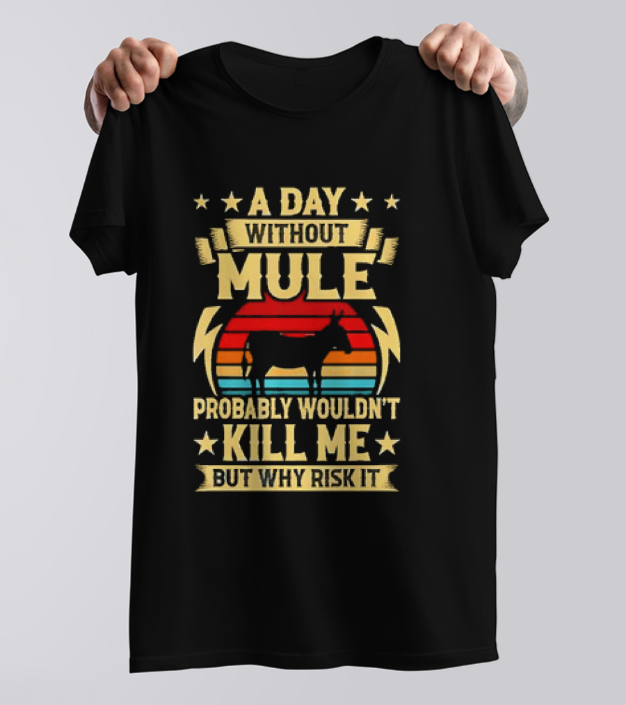 A Day Without Mule Probably Wouldn't Kill Me But Why Risk It Vintage Sunset T-Shirt