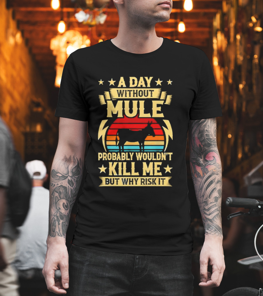 A Day Without Mule Probably Wouldn't Kill Me But Why Risk It Vintage Sunset T-Shirt