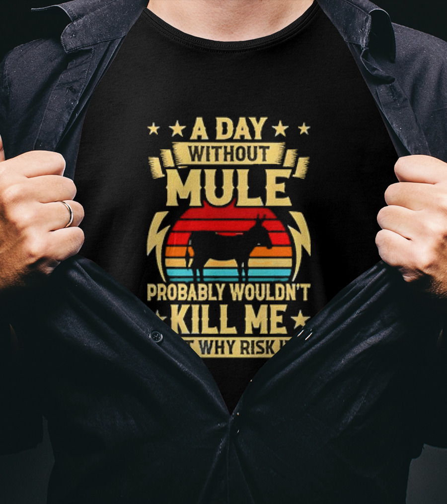 A Day Without Mule Probably Wouldn't Kill Me But Why Risk It Vintage Sunset T-Shirt