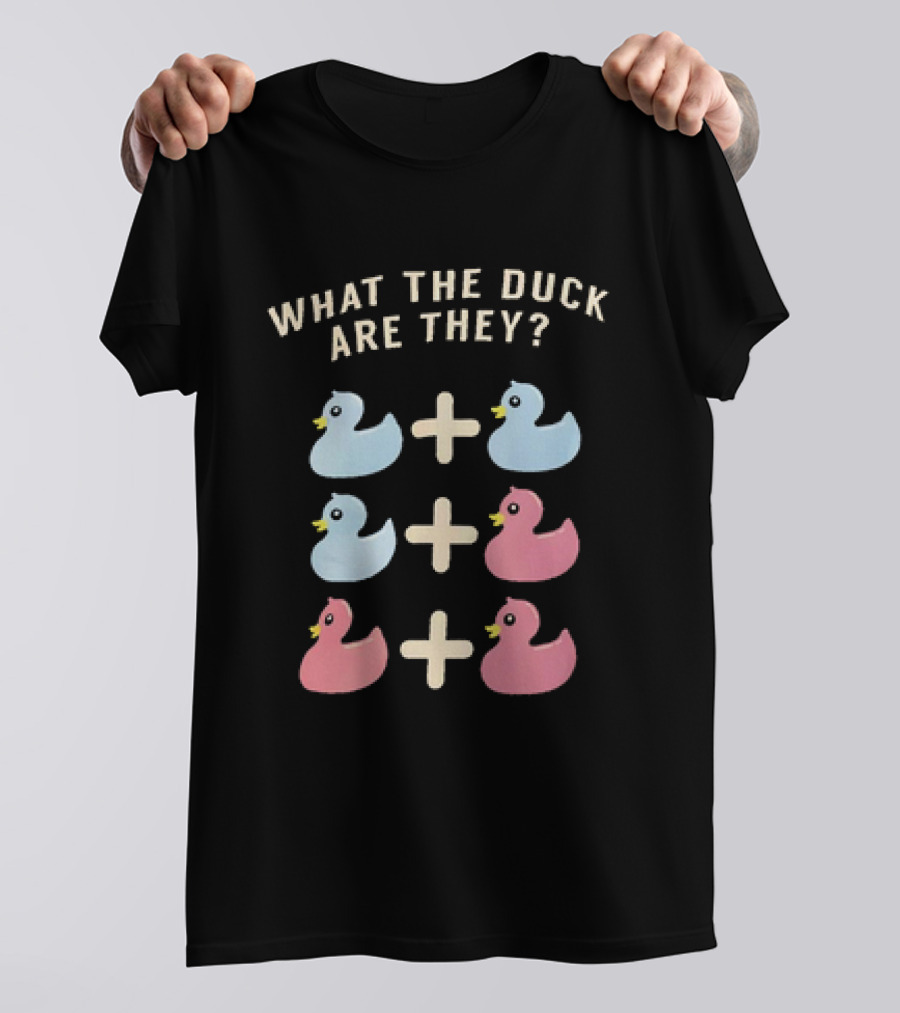 What The Duck Are They Blue And Pink Duck Addition Puzzle T-Shirt