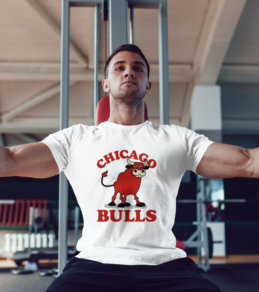 Retro Vintage Chicago Bulls Classic Iconic Bull Image T-Shirt