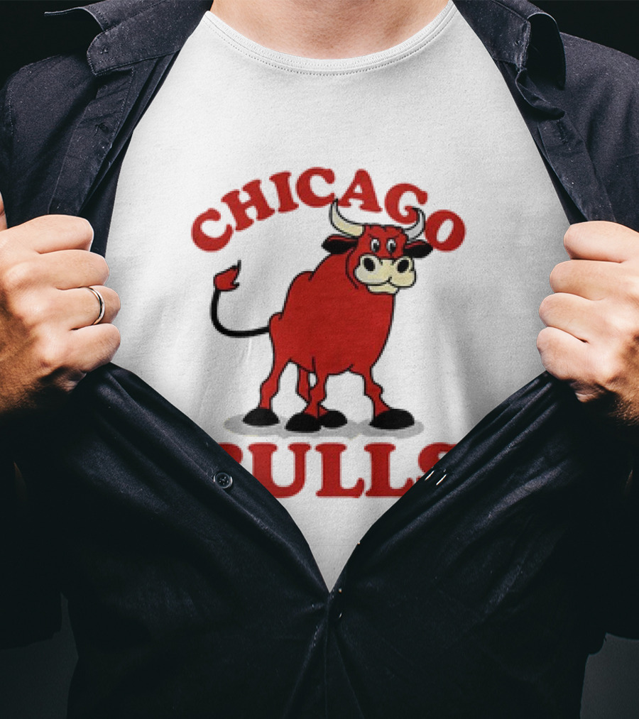 Retro Vintage Chicago Bulls Classic Iconic Bull Image T-Shirt